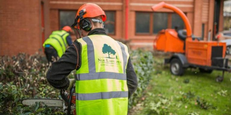 Neal Landscapes Tree Surgeon