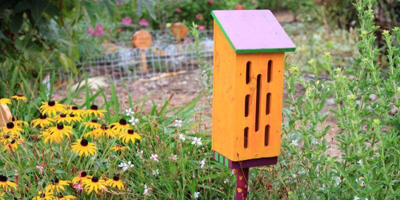 Butterfly House