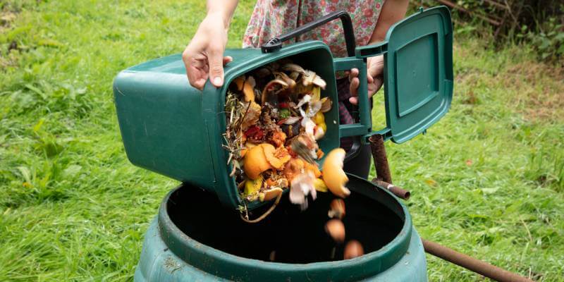 Compost Bin