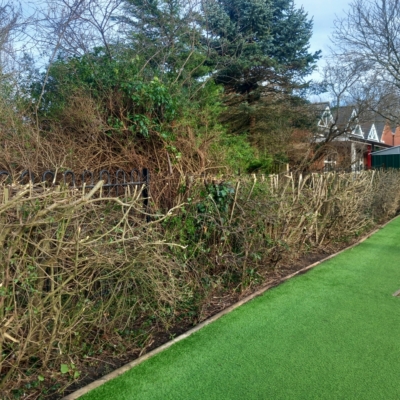 finished landscaping at stony school