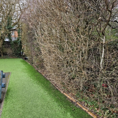 stony school hedge before work