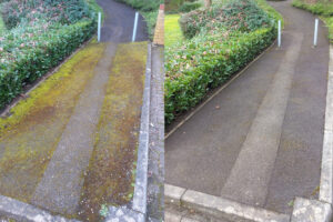 before and after path