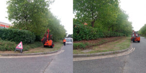 Hedge trimming feature