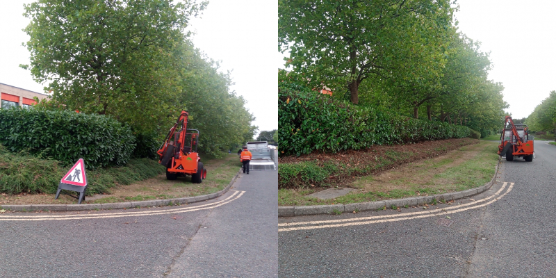 Hedge Cutting in Milton Keynes - Neal Landscapes