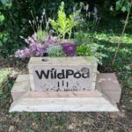 Wildpod Planter