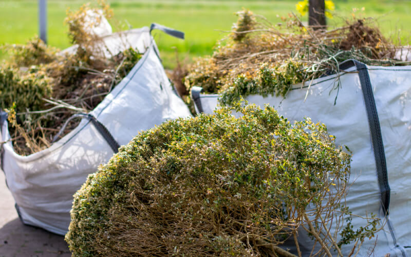 Plant bags