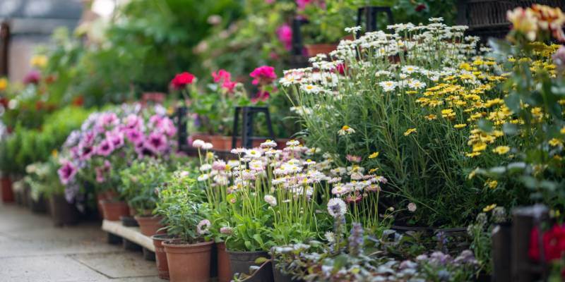 flower pot bunches